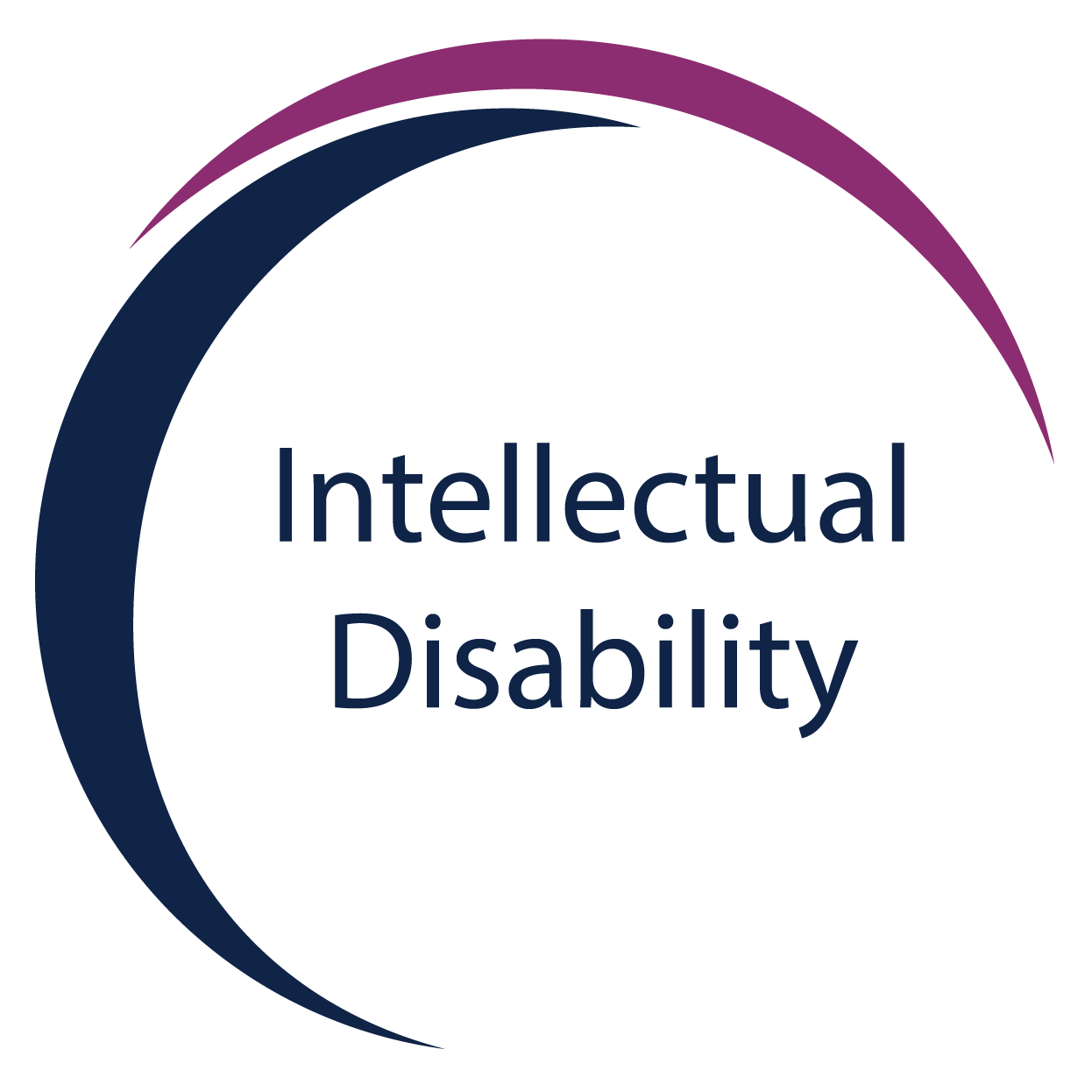 Merlin Day Academy Individualized Education Program: Intellectual Disability