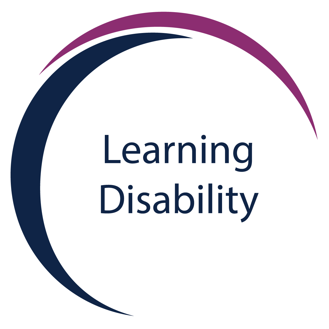 Merlin Day Academy Individualized Education Program: Learning Disability
