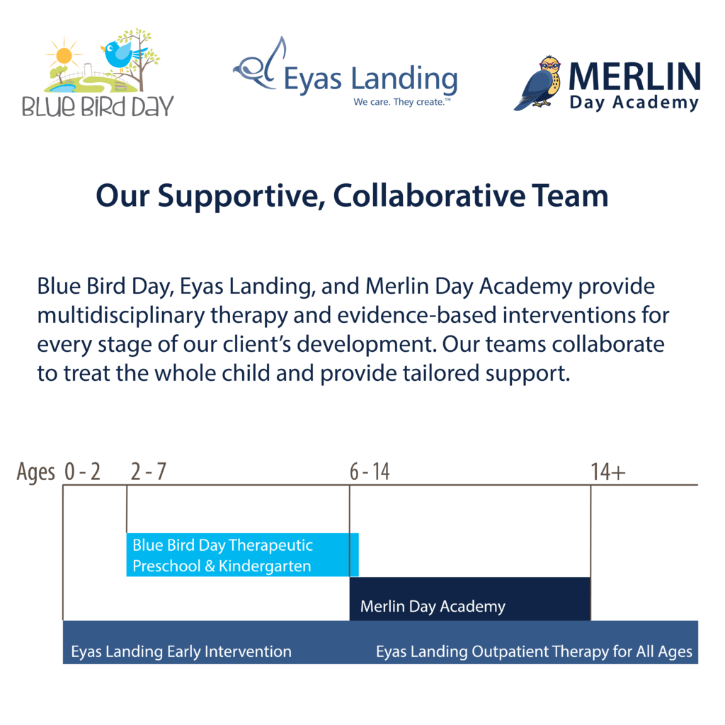 Merlin Day Academy Blue Bird Day and Eyas Landing Timeline