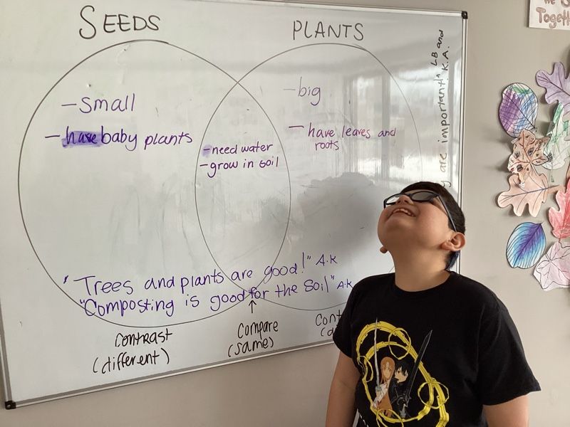 Child in speech therapy rotation at Merlin Day Academy learning about compare contrast